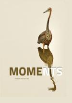 Moments cover